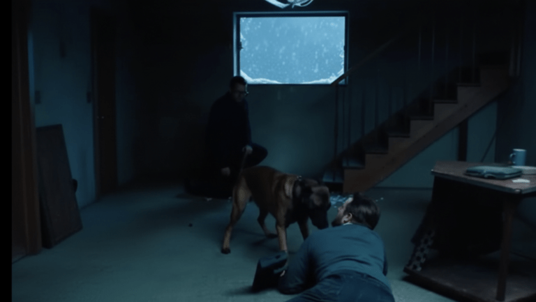 They Left Their Kid Outside—Then the K9 Hit Them